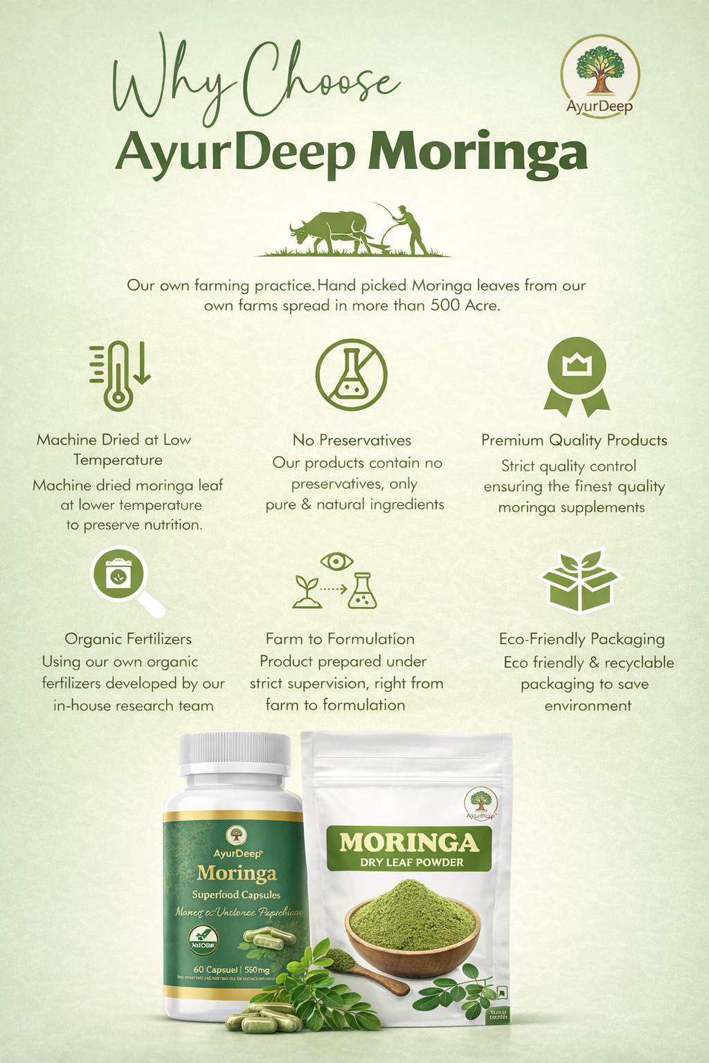 AyurDeep Green Combo Nutrition Pack – Moringa Powder + Moringa Capsules